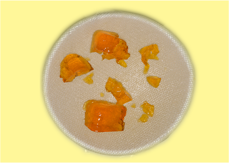 咀嚼機能検査