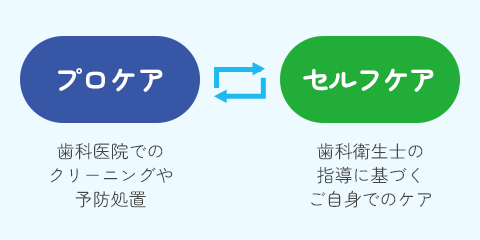プロケア 歯科医院でのクリーニングや予防処置 セルフケア 歯科衛生士の指導に基づくご自身でのケア